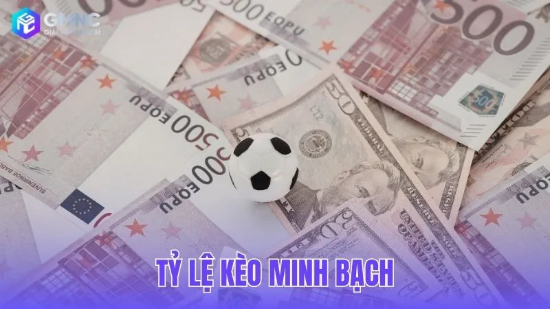 Đảm bảo tính minh bạch trong mọi tỷ lệ bảng kèo